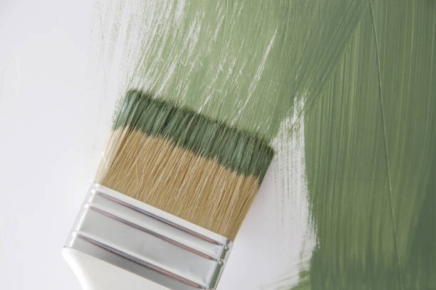 Trusted Combine, TX Mold Removal Experts